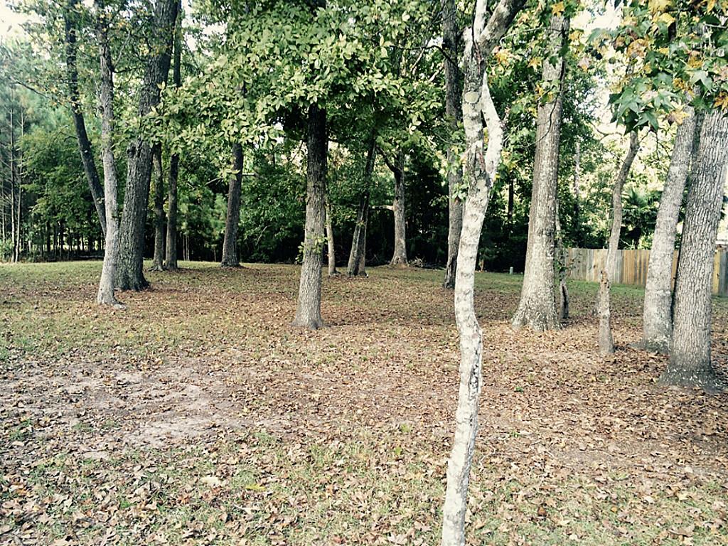 107 Pebble Springs Lane, Cleveland, TX 77327