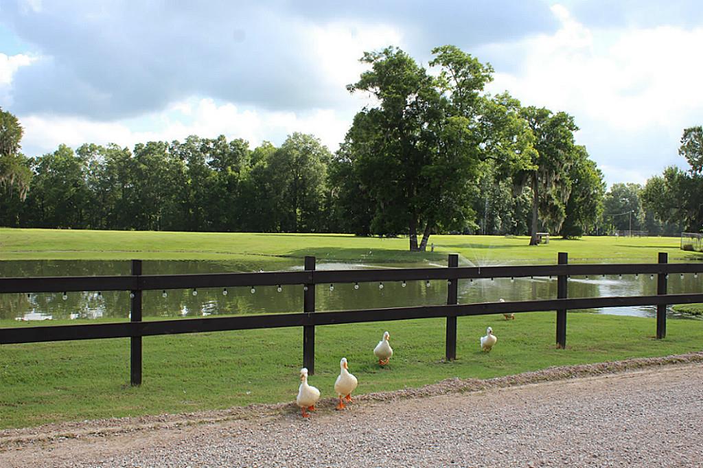 9 Dollar Drive, Cleveland, TX 77327