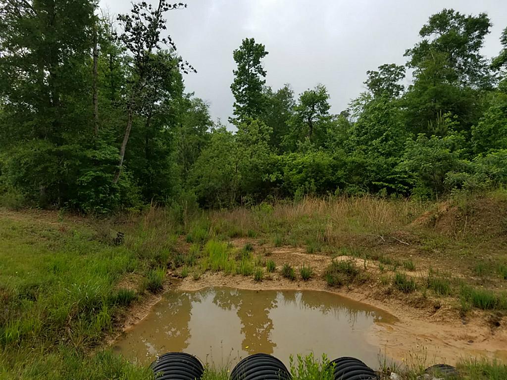 21158 Rock Pigeon, Cleveland, TX 77328