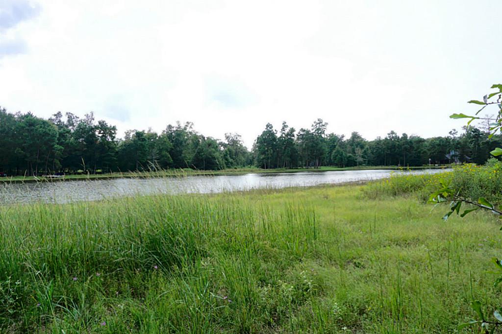 21226 Grant Lake Circle, Cleveland, TX 77328