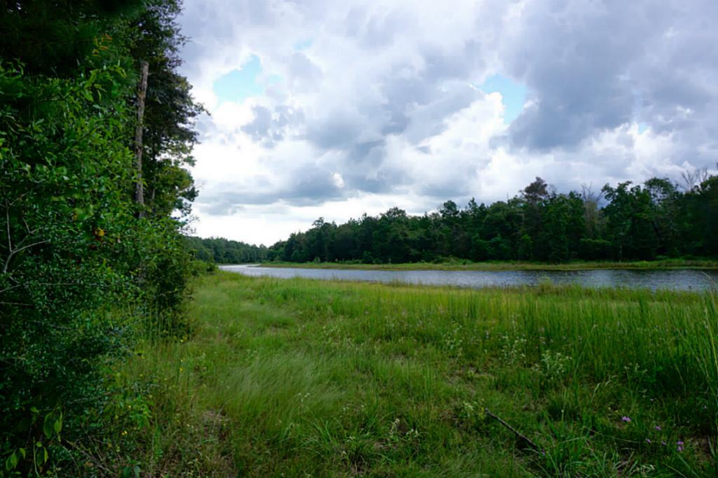 21226 Grant Lake Circle, Cleveland, TX 77328