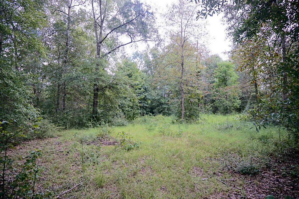 21226 Grant Lake Circle, Cleveland, TX 77328