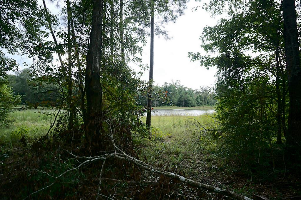 21226 Grant Lake Circle, Cleveland, TX 77328