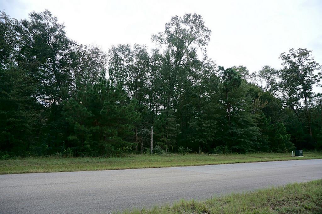 21226 Grant Lake Circle, Cleveland, TX 77328