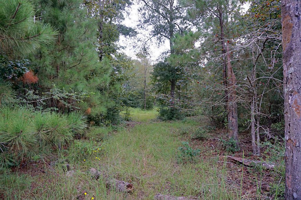 21226 Grant Lake Circle, Cleveland, TX 77328
