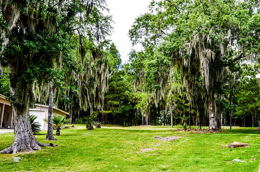 65 Harbour Row Drive, Coldspring, TX 77331