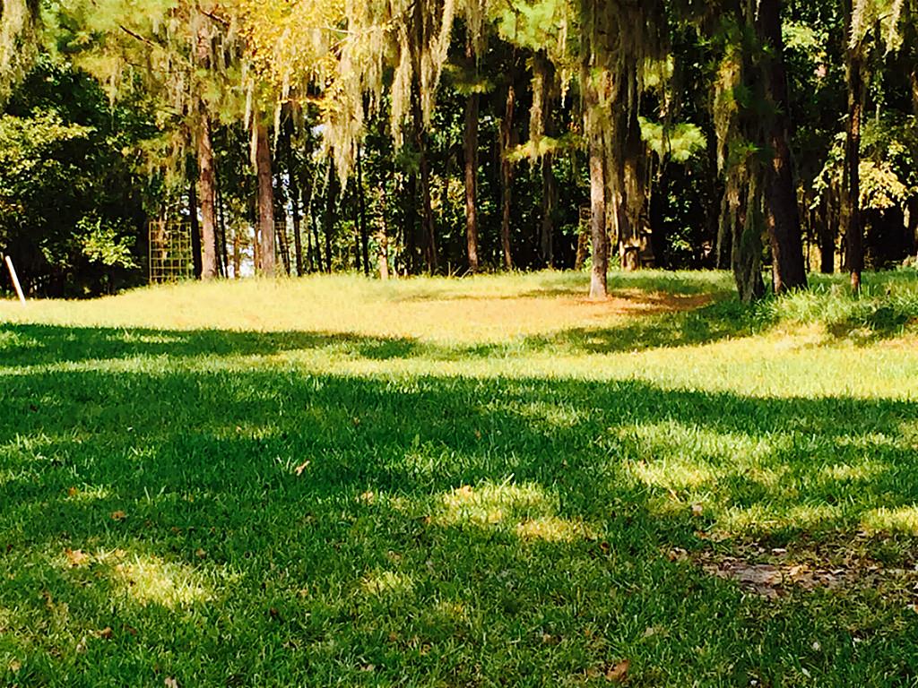 65 Harbour Row Drive, Coldspring, TX 77331