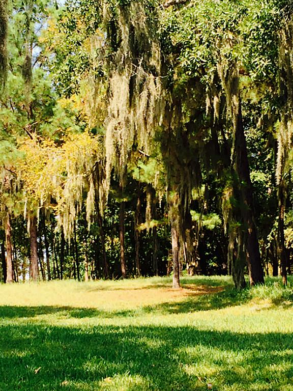 65 Harbour Row Drive, Coldspring, TX 77331