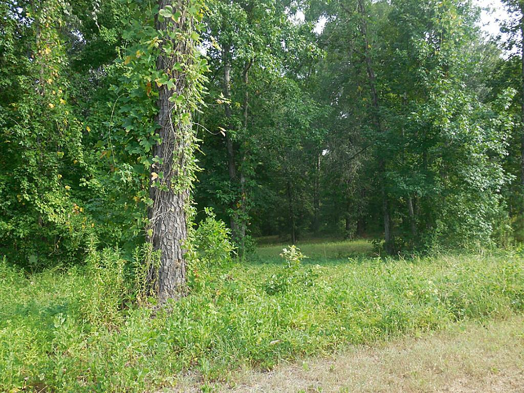 Tbd 4 Harrell Cemetery, Coldspring, TX 77331