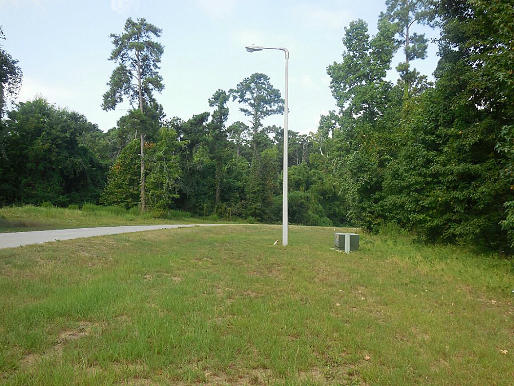 Tbd 4 Harrell Cemetery, Coldspring, TX 77331