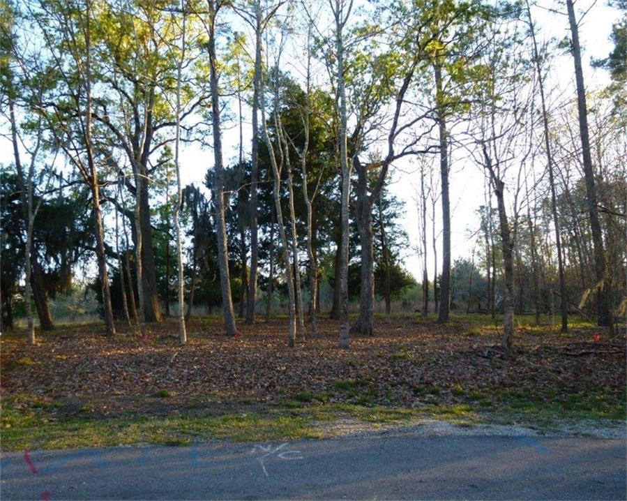 26 Wood Cove Circle, Coldspring, TX 77331
