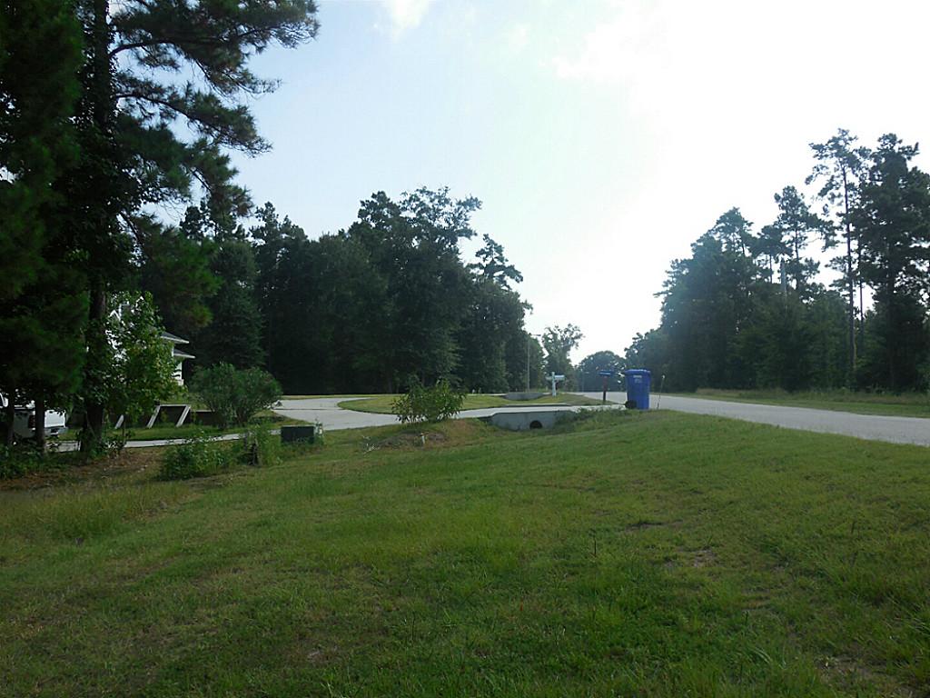 Tbd 5 Harrell Cemetery, Coldspring, TX 77331