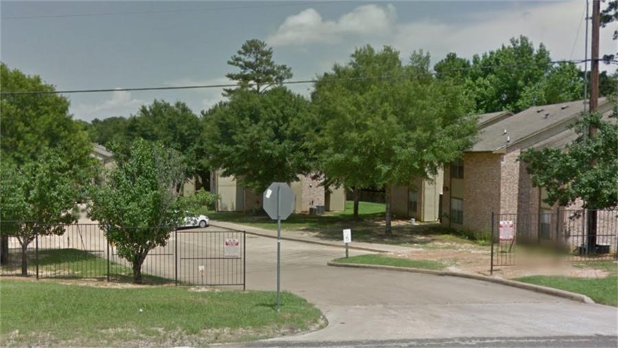 100 Hillside Terrace Drive, Coldspring, TX 77331