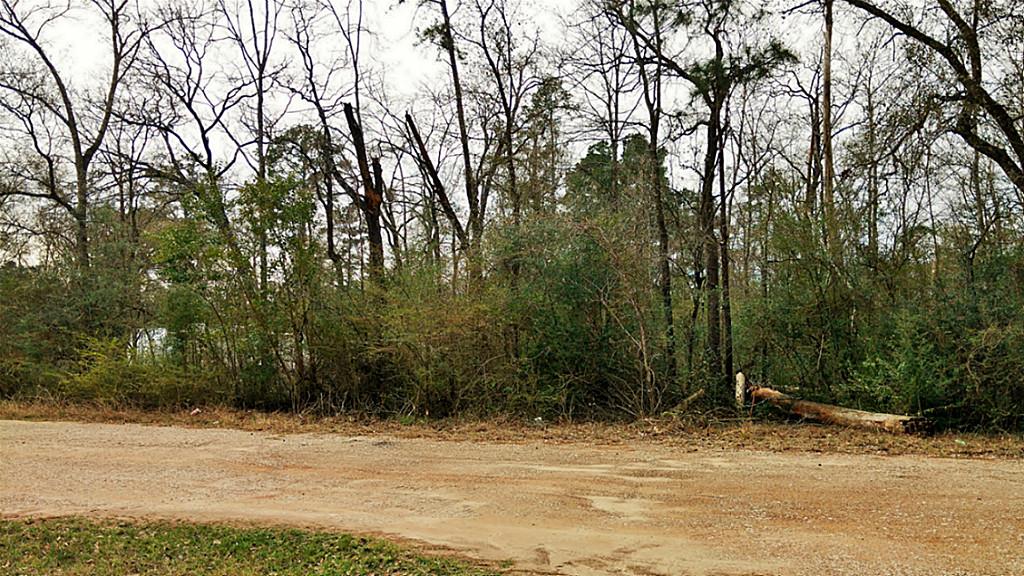 Tbd Le Conte, Humble, TX 77338
