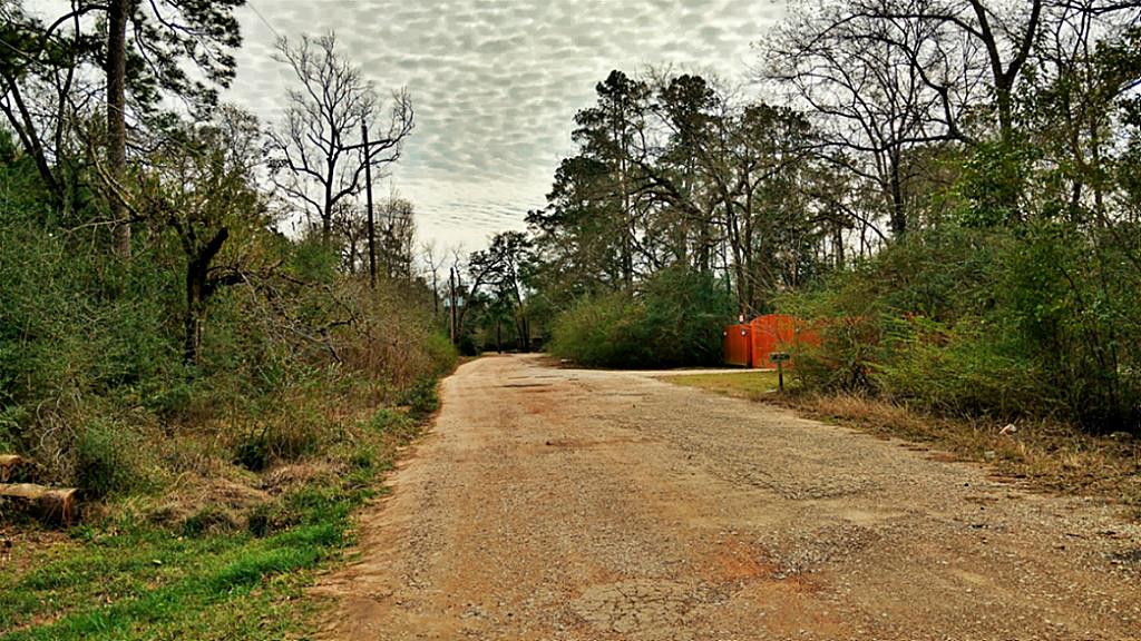 Tbd Le Conte, Humble, TX 77338