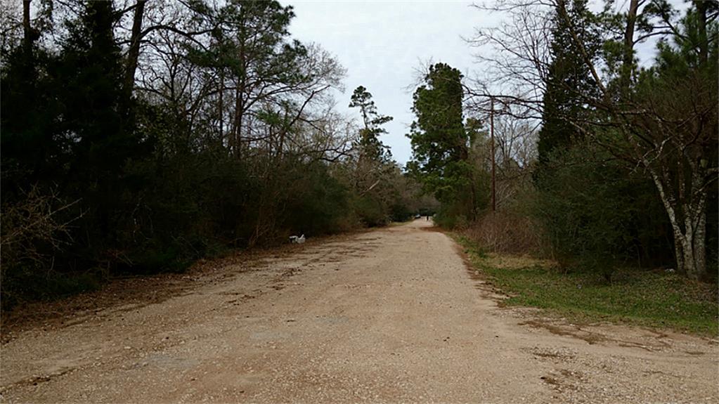Tbd Le Conte, Humble, TX 77338
