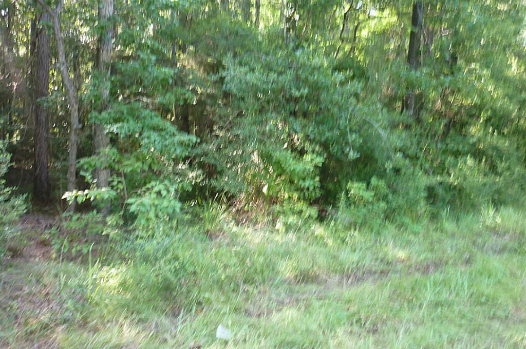 3749 Spring, Huntsville, TX 77340