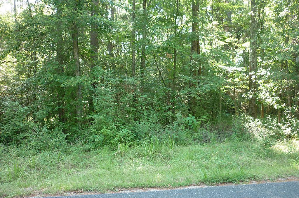 3753 Spring, Huntsville, TX 77340