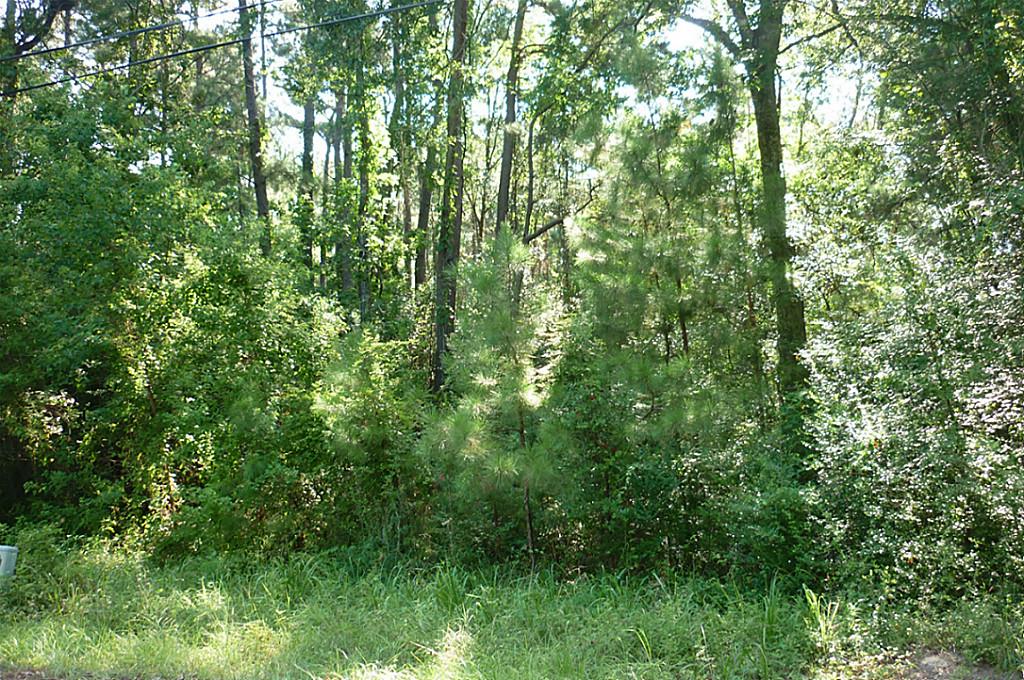 3751 Spring, Huntsville, TX 77340