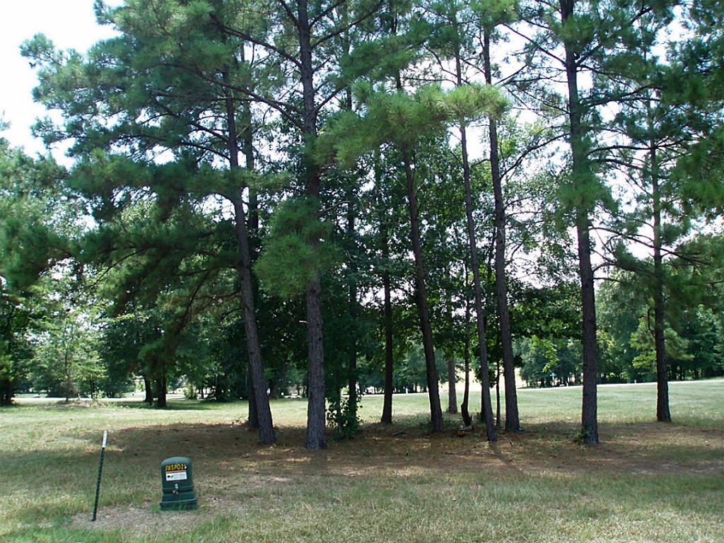 0 N Forest Drive, Huntsville, TX 77340