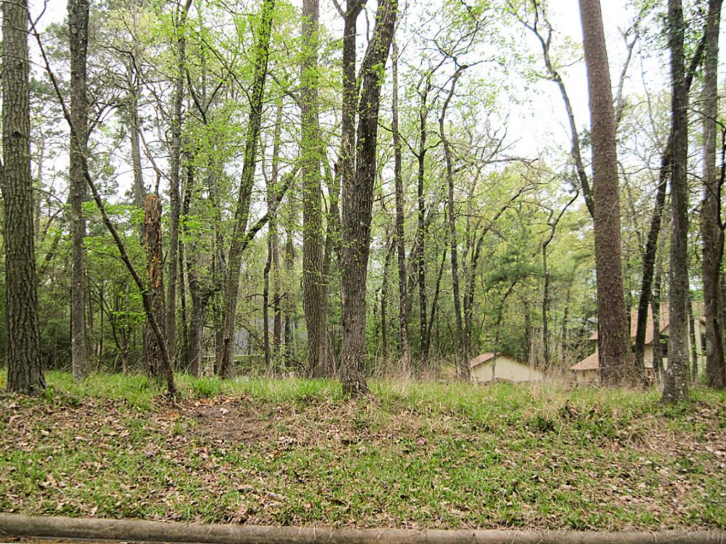 1615 River Oaks, Huntsville, TX 77340