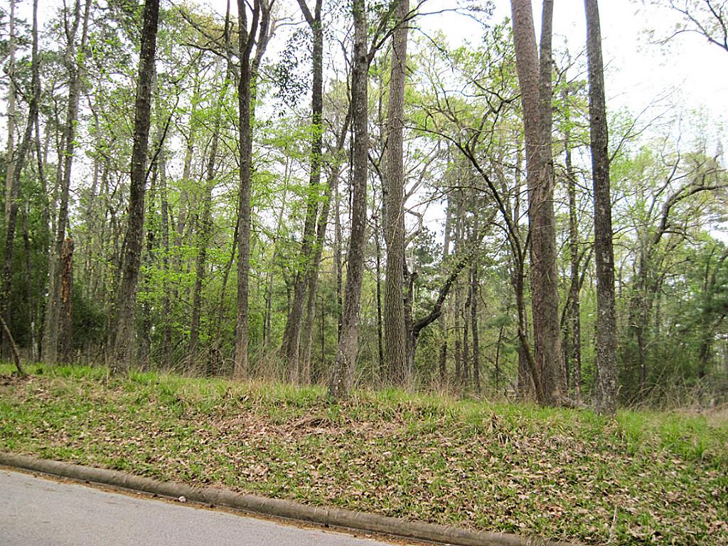 1615 River Oaks, Huntsville, TX 77340
