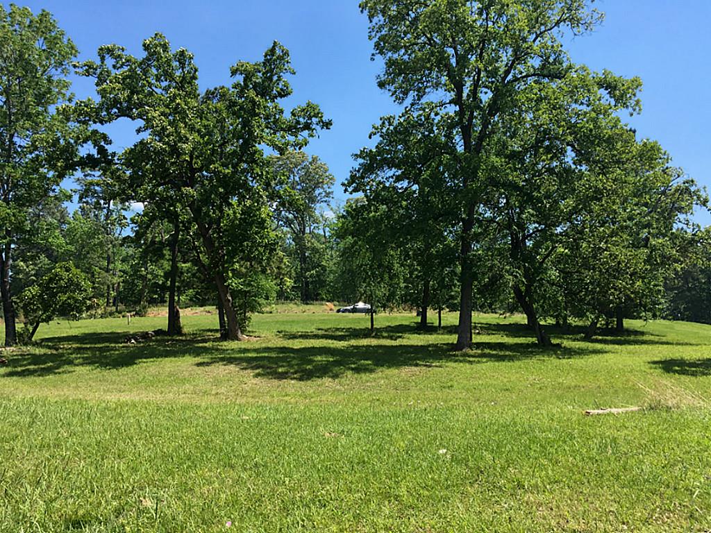56 Hillsborough Drive, Huntsville, TX 77340