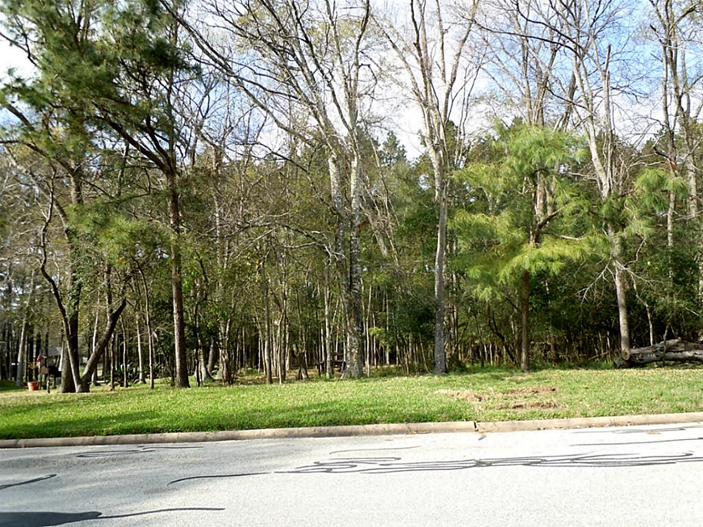486 Cherry Hills Drive, Huntsville, TX 77340