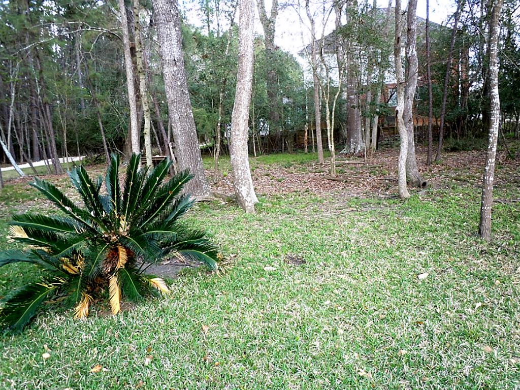 486 Cherry Hills Drive, Huntsville, TX 77340