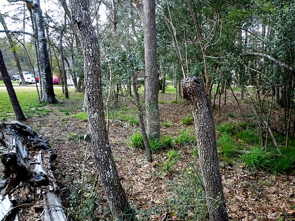 486 Cherry Hills Drive, Huntsville, TX 77340