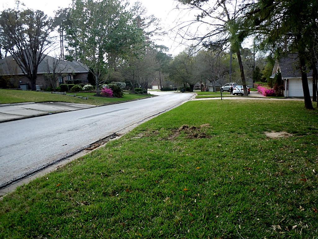 486 Cherry Hills Drive, Huntsville, TX 77340