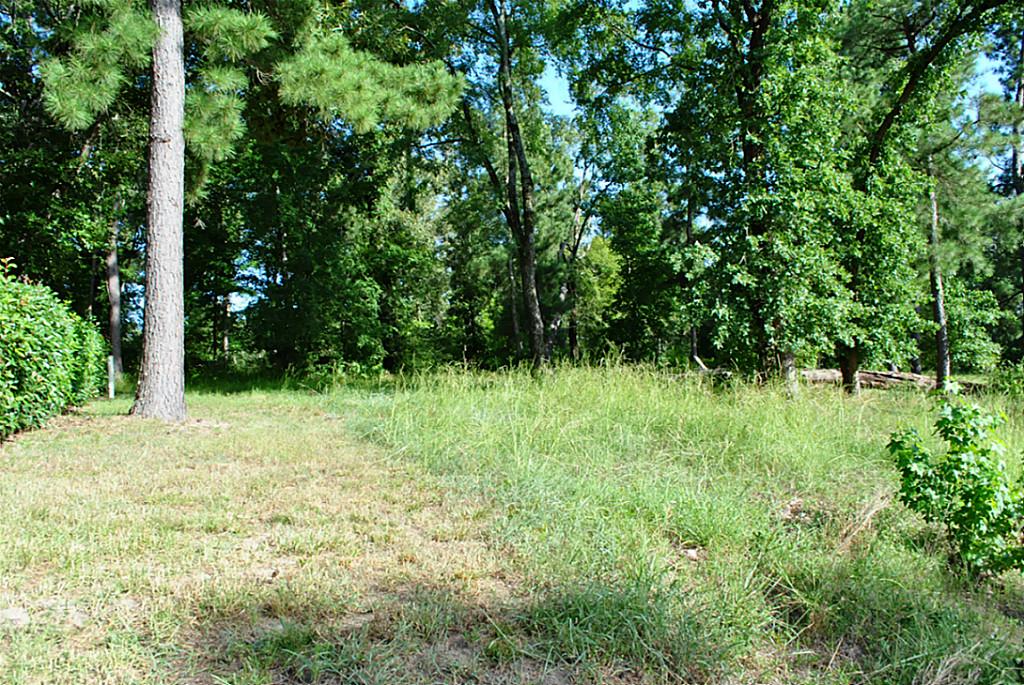 18 Hillsborough, Huntsville, TX 77340