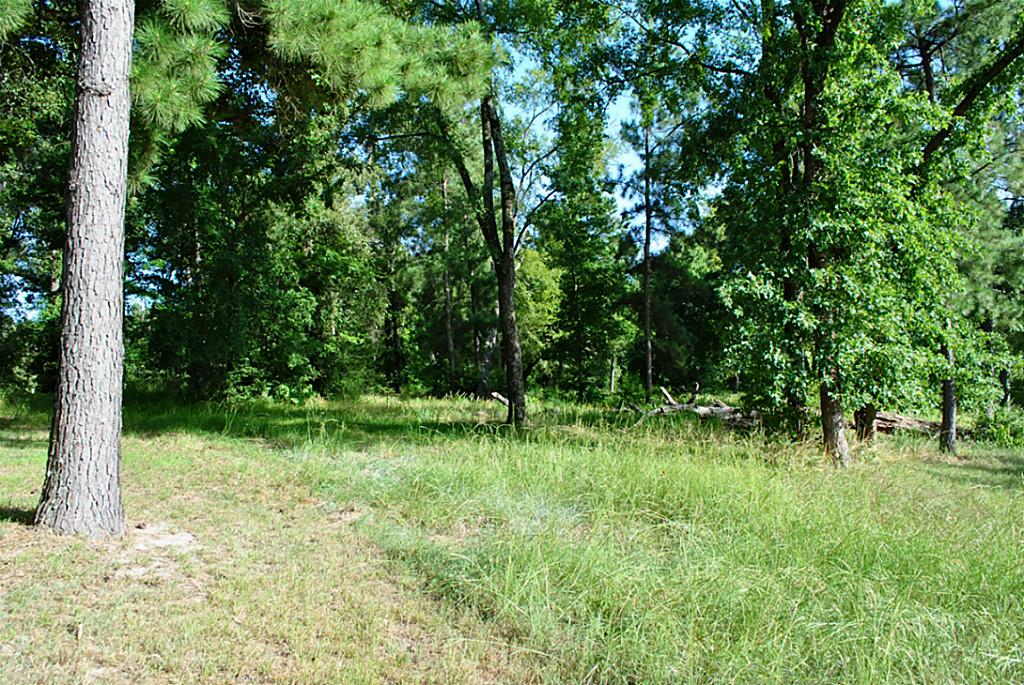 18 Hillsborough, Huntsville, TX 77340