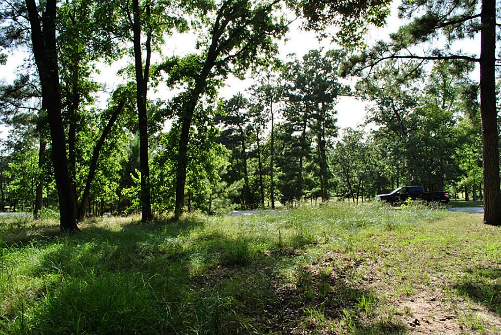 18 Hillsborough, Huntsville, TX 77340