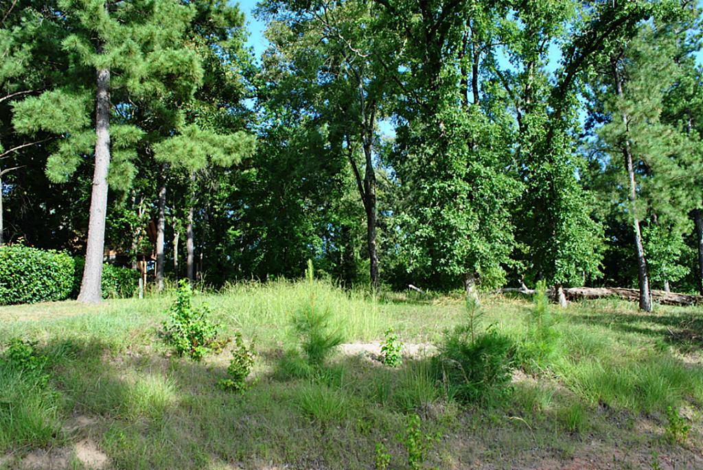 18 Hillsborough, Huntsville, TX 77340