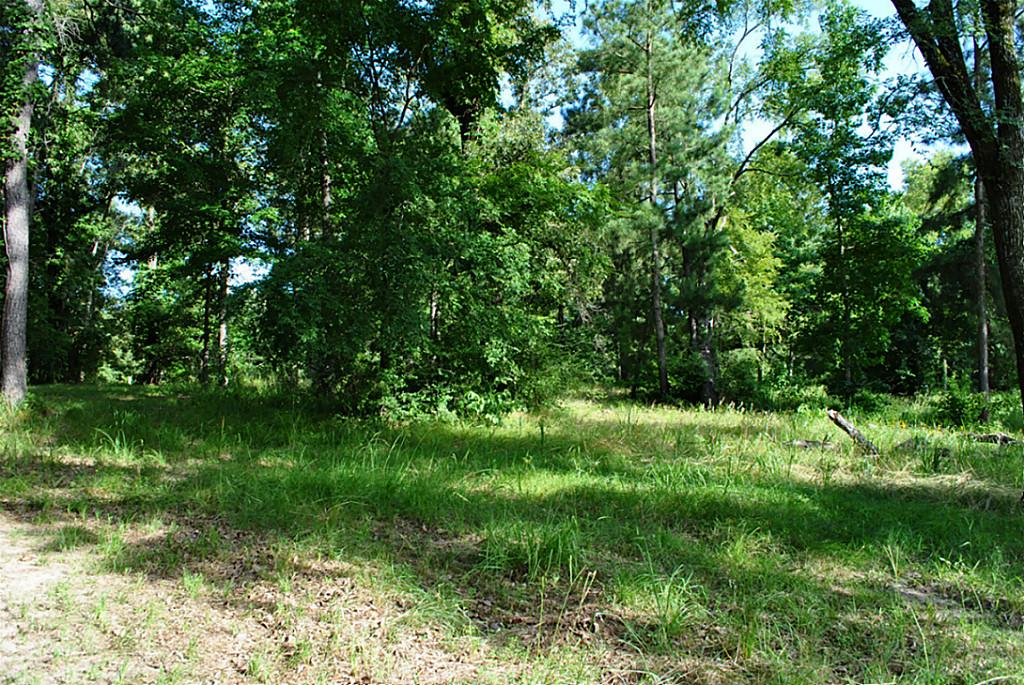 18 Hillsborough, Huntsville, TX 77340