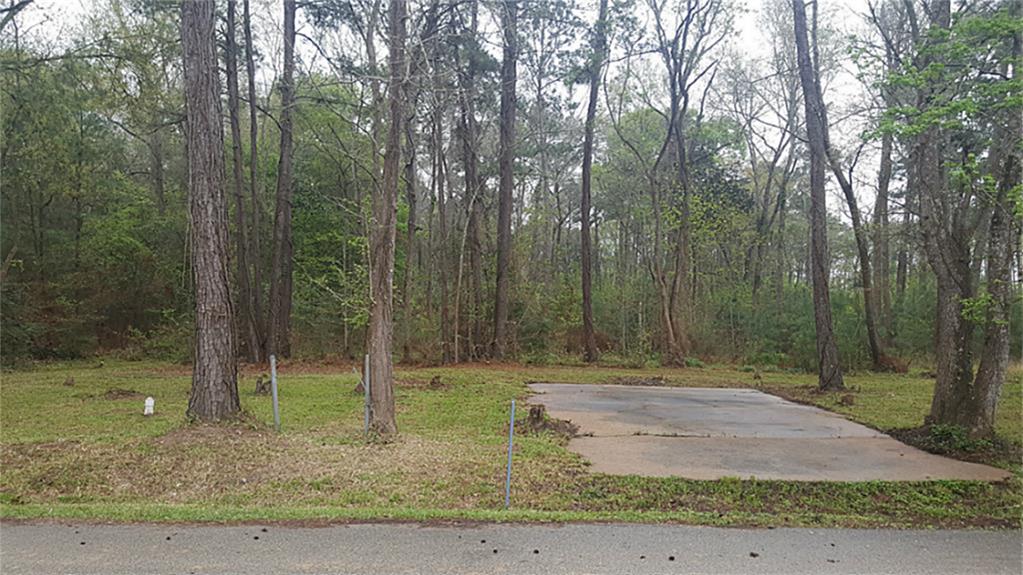 4658 Dunnam Place, Kingwood, TX 77345