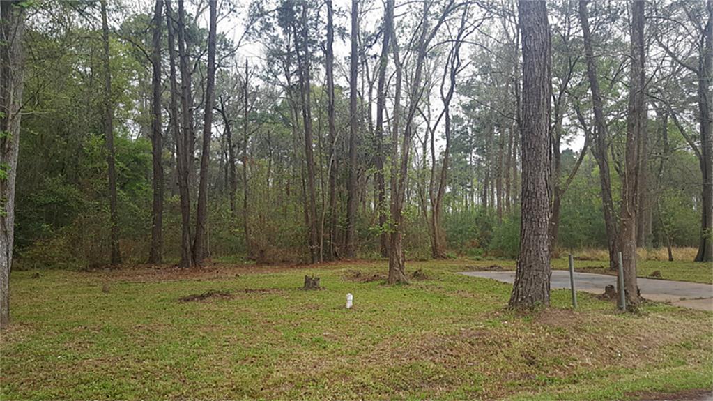 4658 Dunnam Place, Kingwood, TX 77345