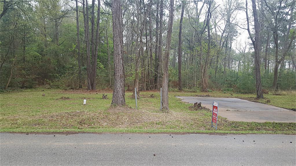 4658 Dunnam Place, Kingwood, TX 77345