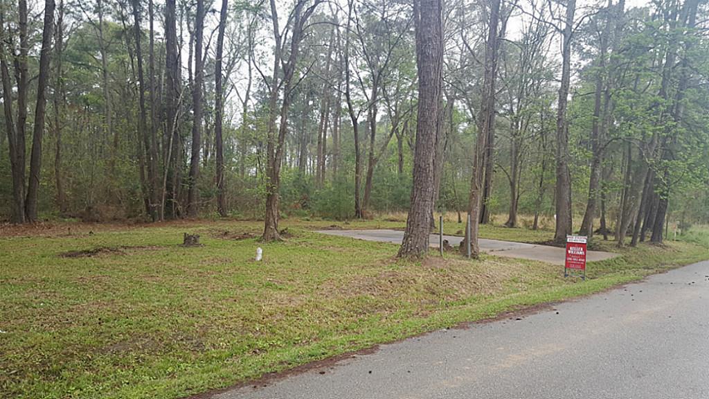 4658 Dunnam Place, Kingwood, TX 77345