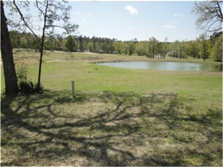 Lot 1 North Forest Drive, Huntsville, TX 77349