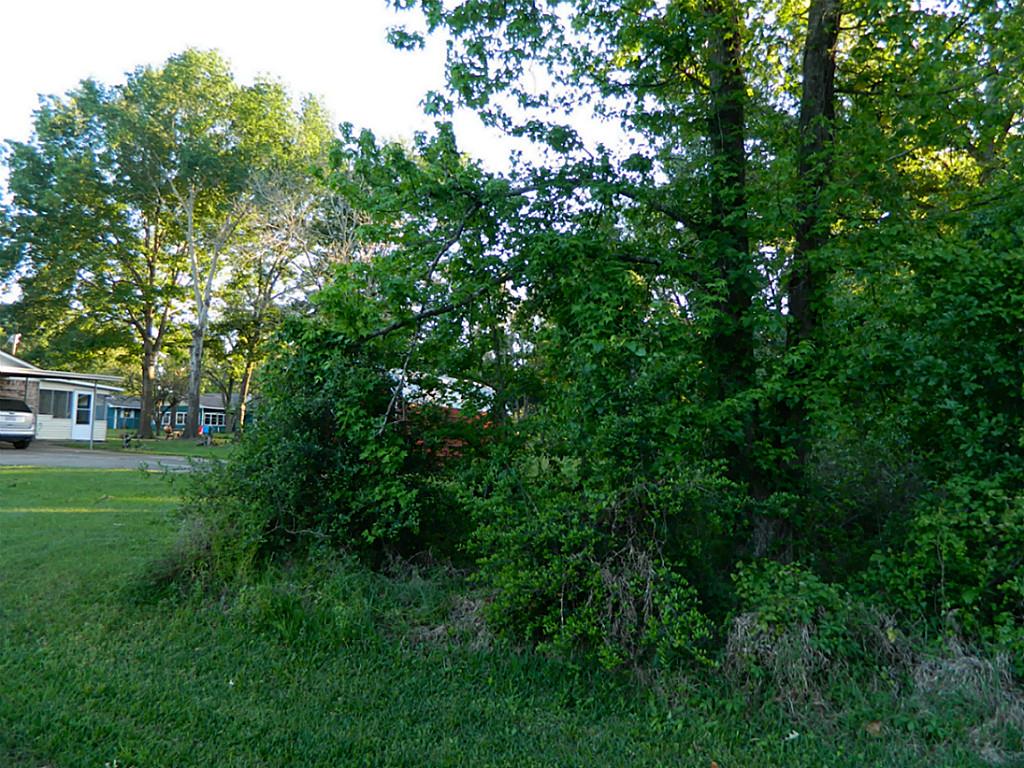 000 Park Drive, Livingston, TX 77351