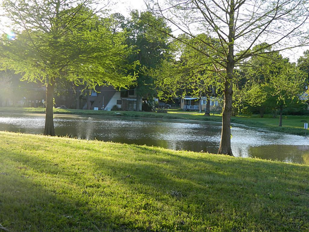 000 Park Drive, Livingston, TX 77351