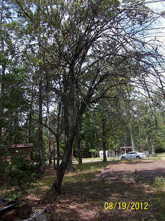 00 Noel, Livingston, TX 77351