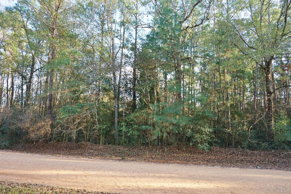 Tbd Magnolia Wood, Livingston, TX 77351