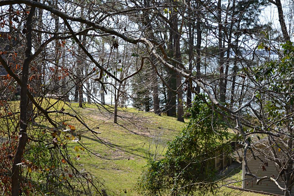 0 Walnut Pne, Livingston, TX 77351