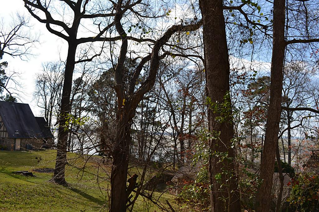 0 Walnut Pne, Livingston, TX 77351
