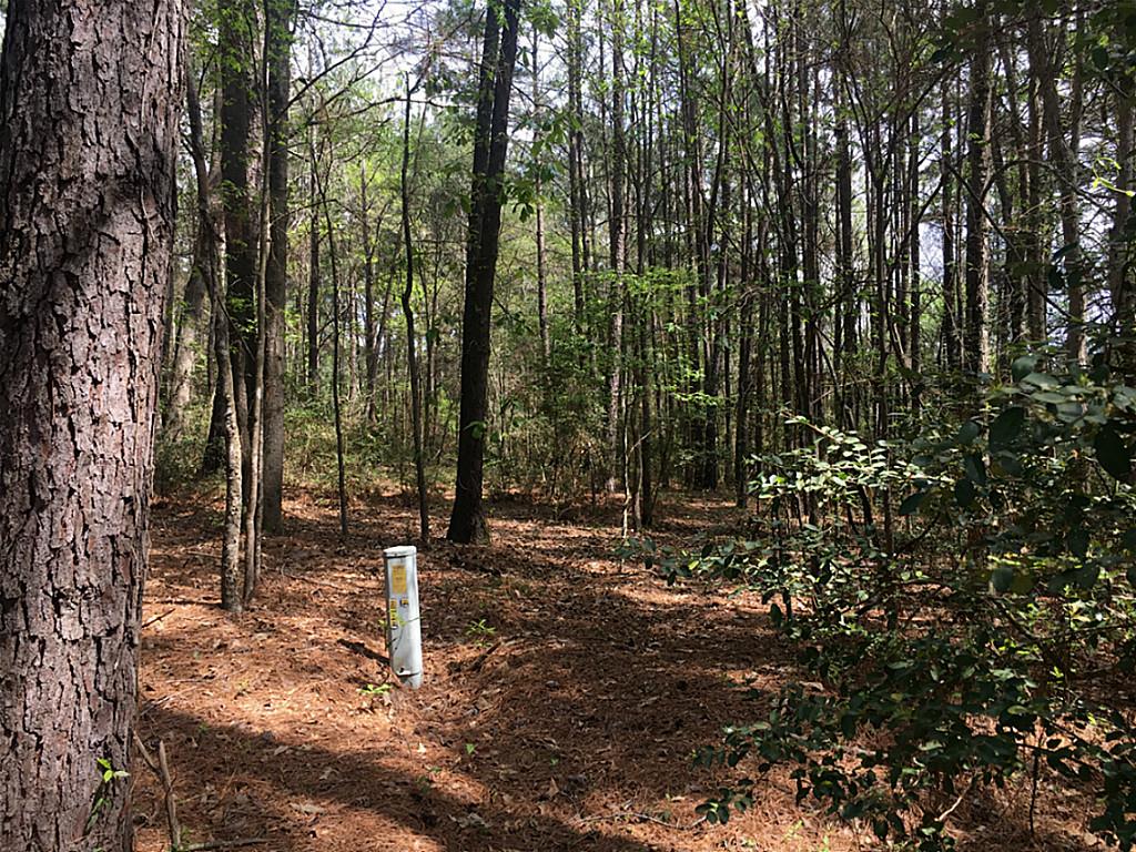 000 Lazy Hollow Lane, Livingston, TX 77351