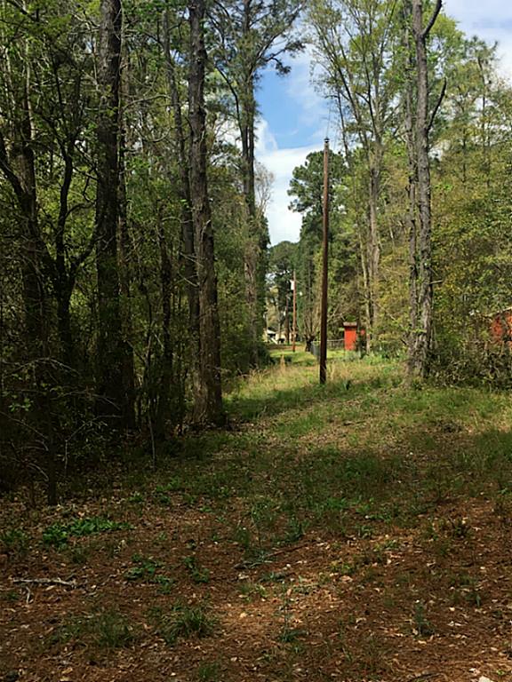 000 Lazy Hollow Lane, Livingston, TX 77351