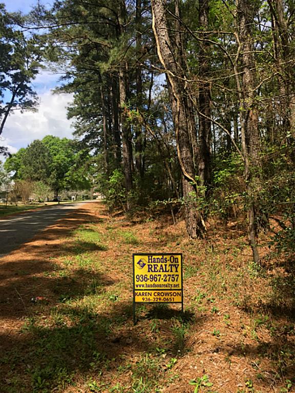 000 Lazy Hollow Lane, Livingston, TX 77351